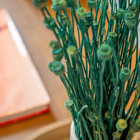 Tropical Escape Near Center Fiber Netflix Apartmán Montluçon