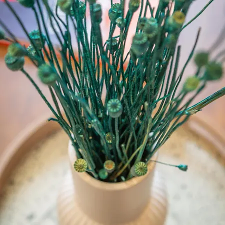 Tropical Escape Near Center Fiber Netflix *