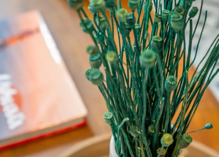 Tropical Escape Near Center Fiber Netflix Апартаменты Монлюсон