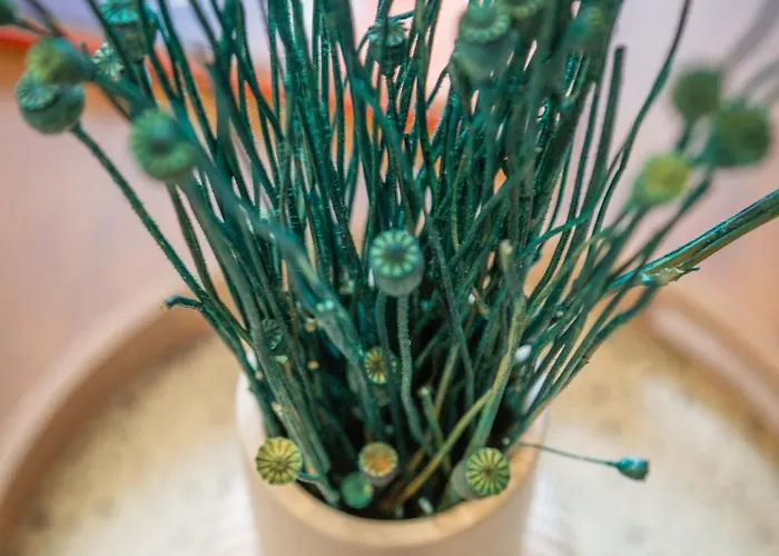 Tropical Escape Near Center Fiber Netflix *